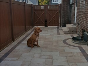 modern smooth flat large brick paver driveway nicolock travertina alpine ridge with side door bullnose steps